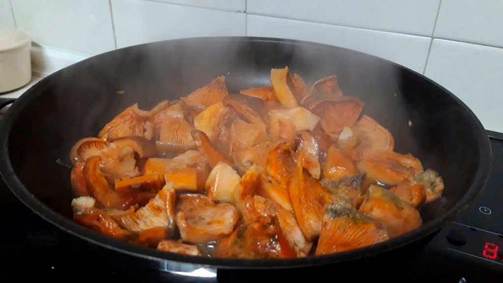 lactarius deliciosus - la casa de las setas