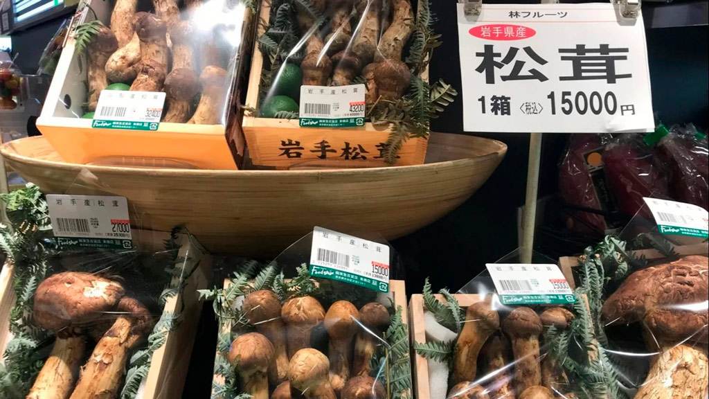 Tricholoma matsutake