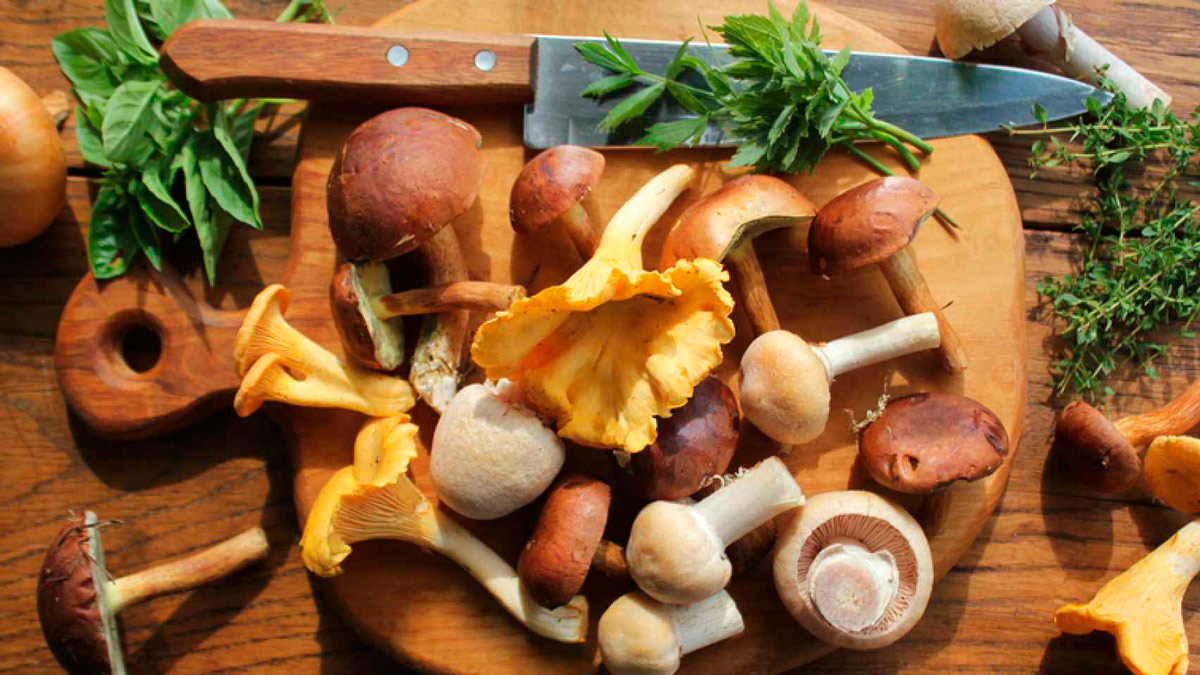 olores y sabores de las setas